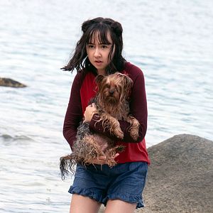 Bilder Meg 2: Die Tiefe