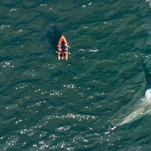 Bilder Meg 2: Die Tiefe