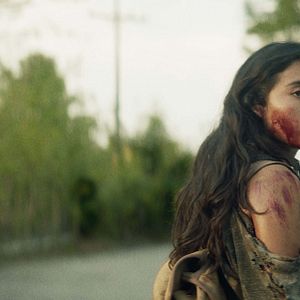 Bilder Cadejo blanco