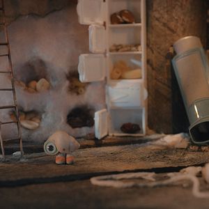 Bilder Marcel The Shell With Shoes On