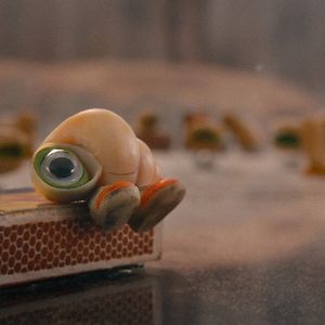 Bilder Marcel The Shell With Shoes On