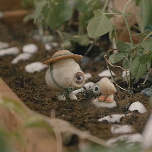 Bilder Marcel The Shell With Shoes On