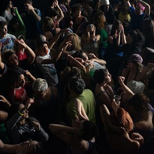 Bilder Das Tier im Dschungel