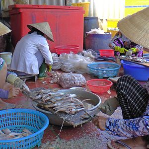 Bilder Altaïr Conférences - Mékong, Au fil d'un fleuve mythique