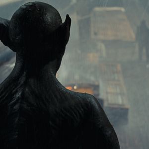 Bilder Die letzte Fahrt der Demeter