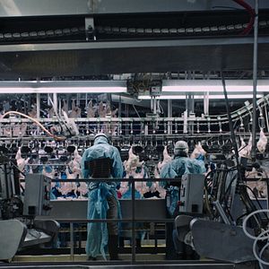 Bilder Vergiftet: Die schmutzige Wahrheit über unser Essen