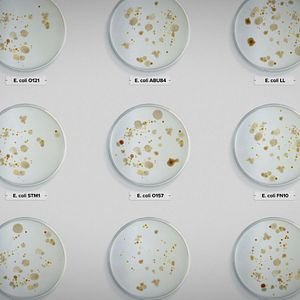 Bilder Vergiftet: Die schmutzige Wahrheit über unser Essen