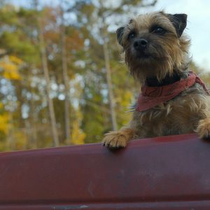 Bilder Doggy Style: Dieser Sommer kommt von hinten