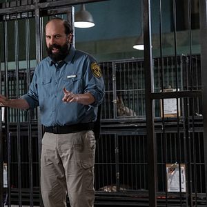 Bilder Doggy Style: Dieser Sommer kommt von hinten