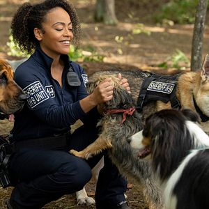 Bilder Doggy Style: Dieser Sommer kommt von hinten