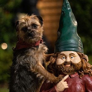 Bilder Doggy Style: Dieser Sommer kommt von hinten