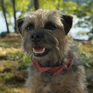 Bilder Doggy Style: Dieser Sommer kommt von hinten