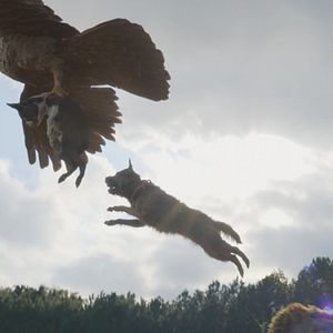 Bilder Doggy Style: Dieser Sommer kommt von hinten