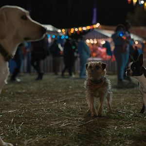 Bilder Doggy Style: Dieser Sommer kommt von hinten