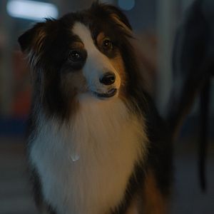 Bilder Doggy Style: Dieser Sommer kommt von hinten