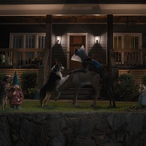 Bilder Doggy Style: Dieser Sommer kommt von hinten