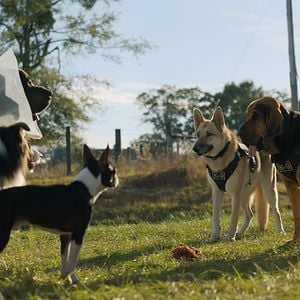 Bilder Doggy Style: Dieser Sommer kommt von hinten