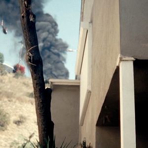 Bilder Something In The Dirt