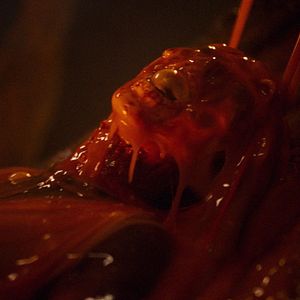 Bilder Kids vs. Aliens