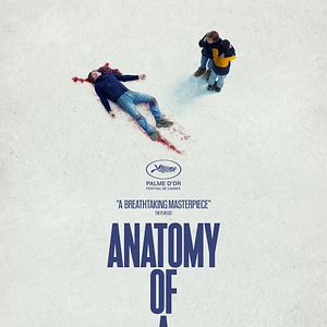 Bilder Anatomie eines Falls