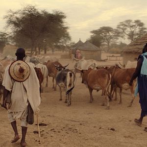 Bilder Mein Sohn, der Soldat