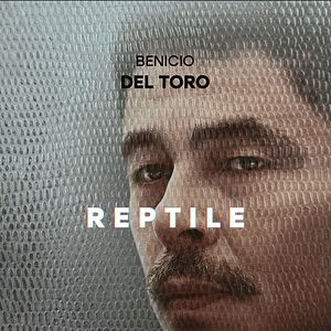 Bilder Reptile