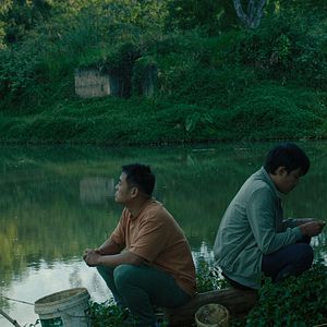 Bilder Bên trong vỏ kén vàng