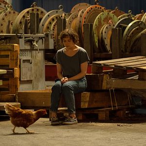 Bilder Franky Five Star