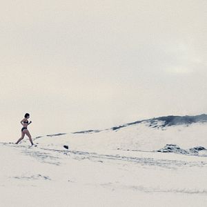 Bilder Fearless Flyers - Fliegen für Anfänger