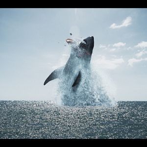 Bilder The Black Demon