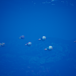 Bilder Kaptan Pengu 3