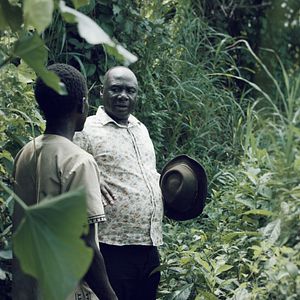 Bilder Theatre Of Violence