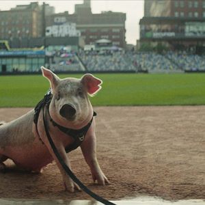 Bilder Die Veecks: Eine Familiengeschichte der zweiten Chancen