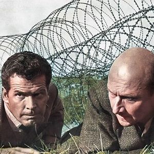 Bilder Gesprengte Ketten