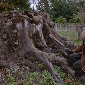 Bilder Ricardo et la peinture