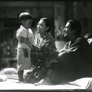 Bilder A hen in the wind