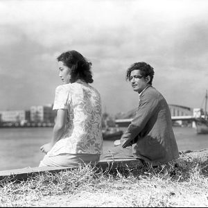 Bilder A hen in the wind