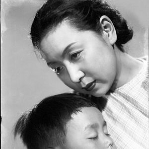 Bilder A hen in the wind