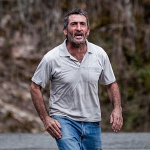 Bilder Wie wilde Tiere