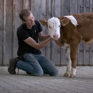 Bilder Menschen & Tiere