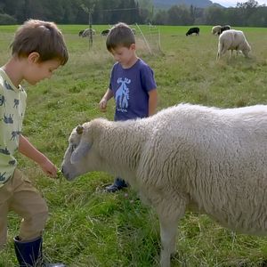 Bilder Menschen & Tiere