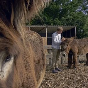 Bilder Menschen & Tiere