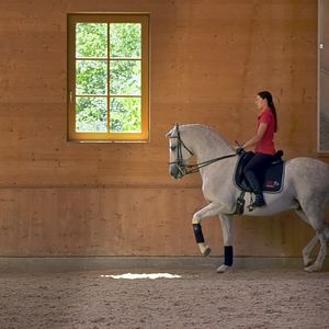 Bilder Menschen & Tiere