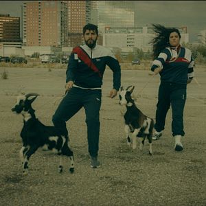 Bilder Vienna Calling