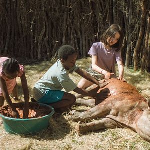 Bilder Litlhohonolofatso Litlhakayane