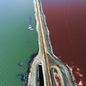 Bilder The Gate - Ein Leben lang im Krieg