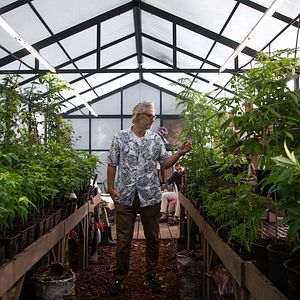 Bilder Die Donnerstagswitwen