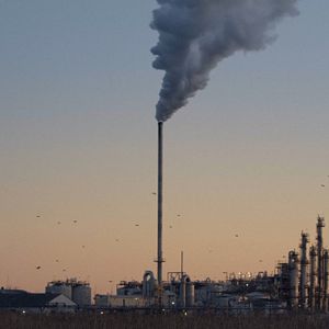 Bilder Krähen - Die Natur beobachtet uns