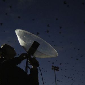 Bilder Krähen - Die Natur beobachtet uns