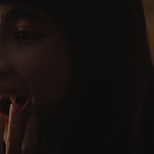 Bilder Sara Montpetit